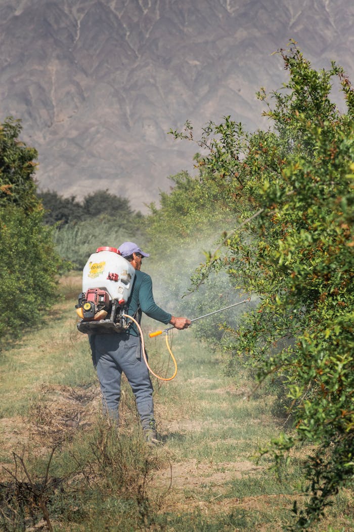 Mastering the First Impression: Your intriguing post title goes here A farmer using a backpack sprayer to maintain crops in Palpa, Ica, Peru.